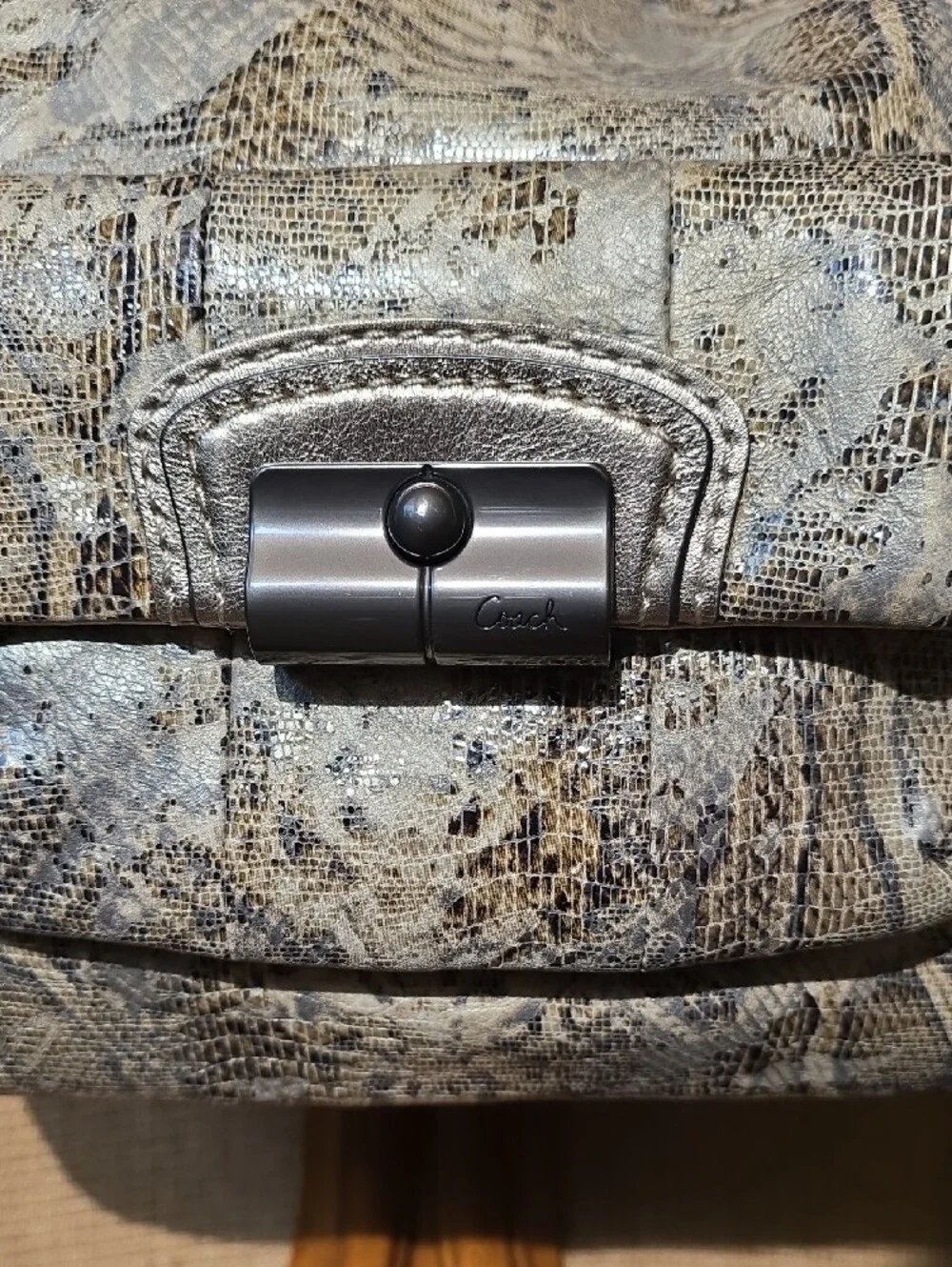Coach Snake-Print Hobo Bag in Gray and Brown